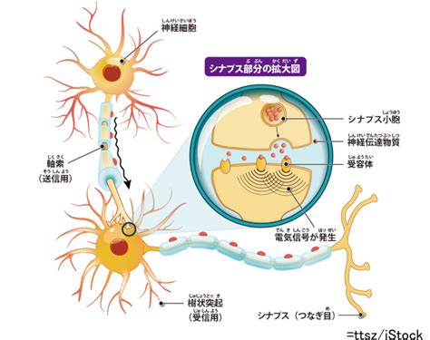 睡眠中|睡眠